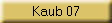 Kaub 07